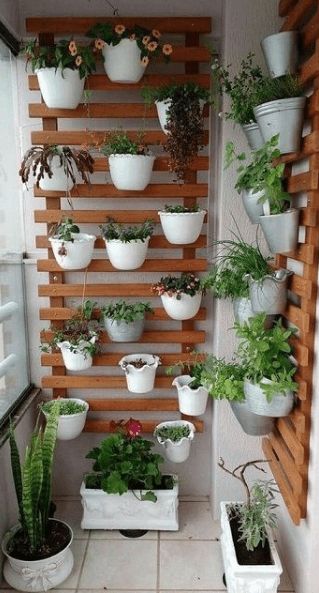 Decoração com plantas na parede Para varanda