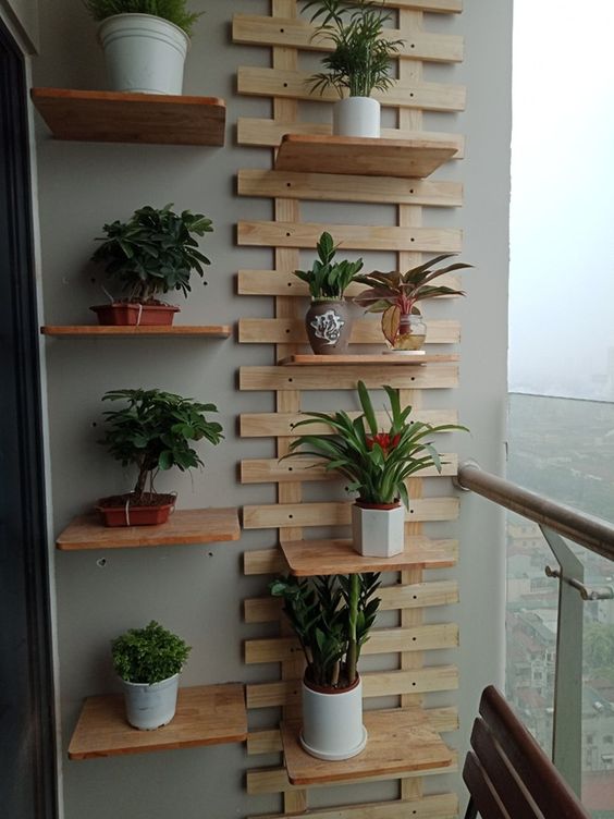 Decoração com plantas na parede Para varanda