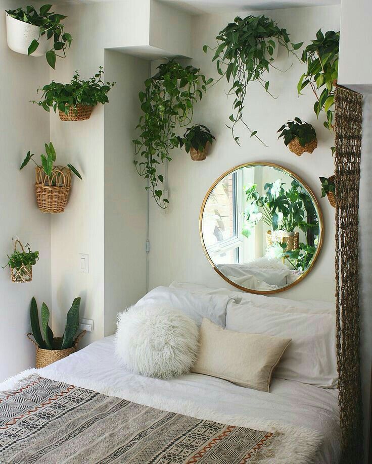 Decoração com plantas na parede Quarto