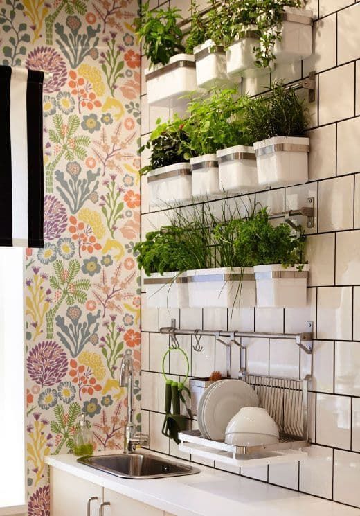 Decoração com plantas na parede Cozinha
