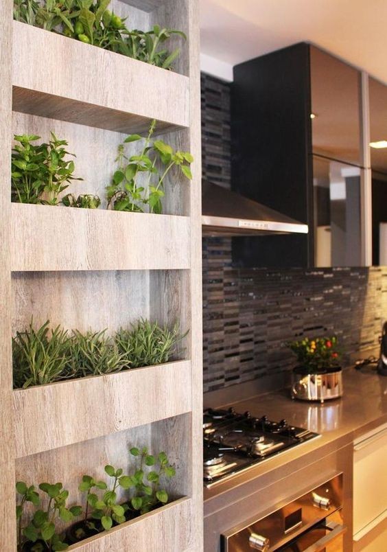 Decoração com plantas na parede Cozinha