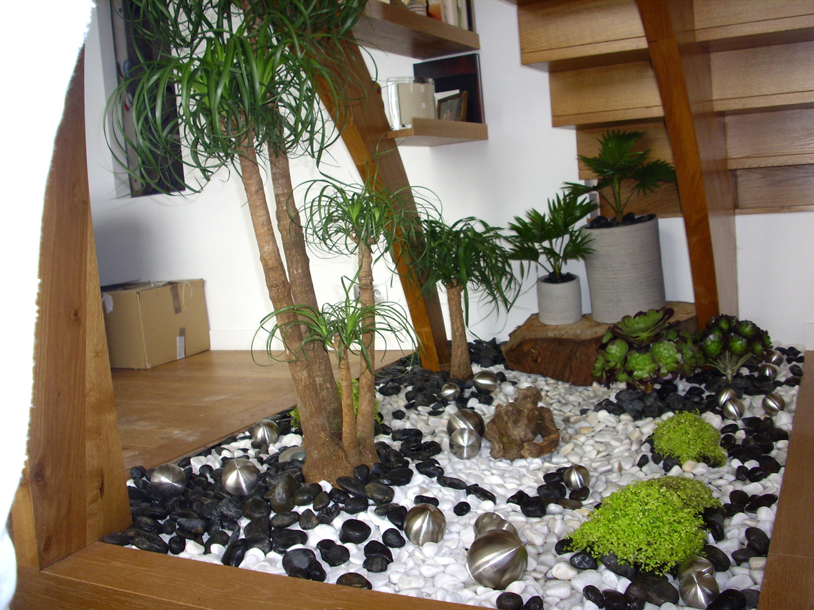 Jardim de inverno na sala <br />Plantas