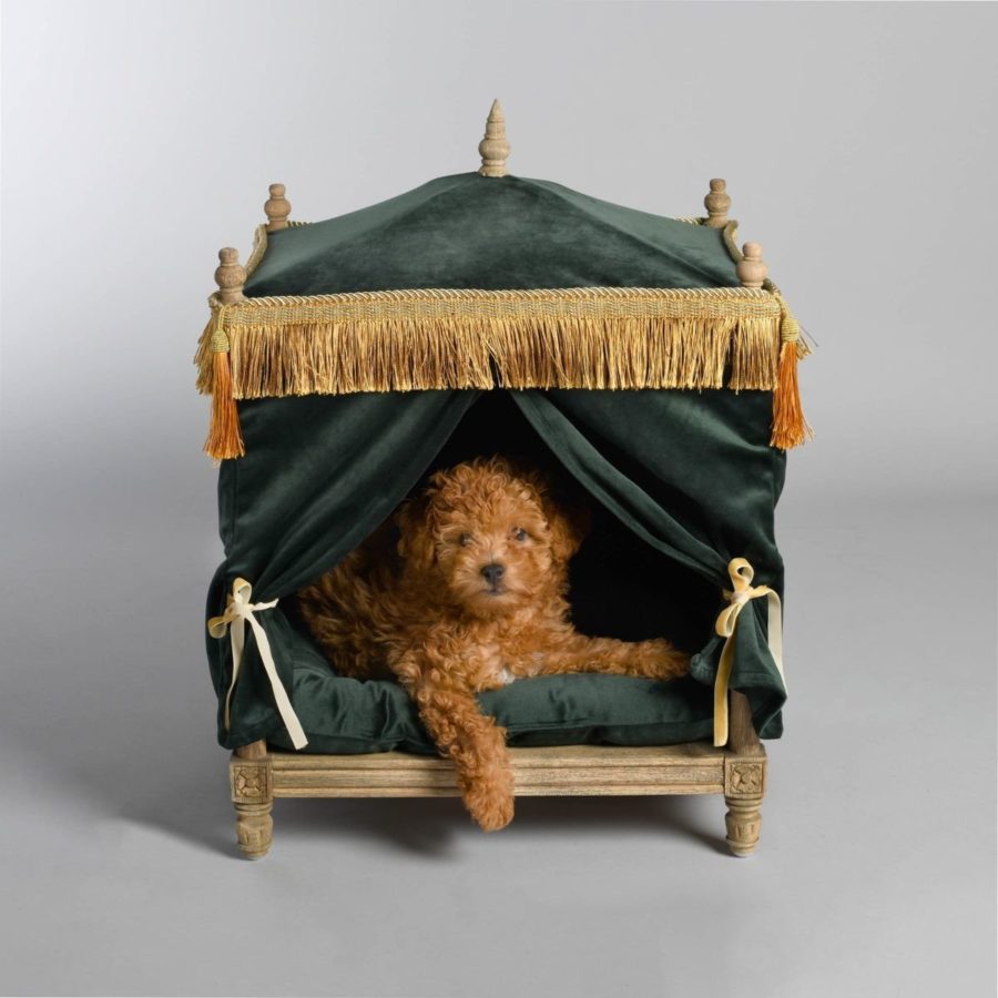 Quarto para Cachorro 60 Ideias que seu Pet vai Amar