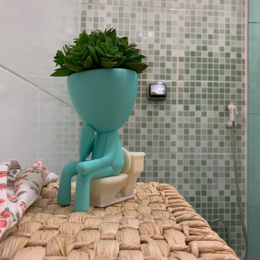 Plantas para banheiro Vasinhos